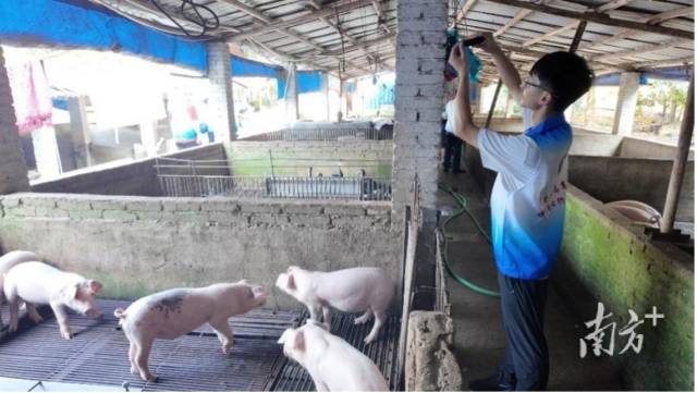 “‘猪’事顺遂”突击队队员在养殖场架设摄像设备。 受访者供图